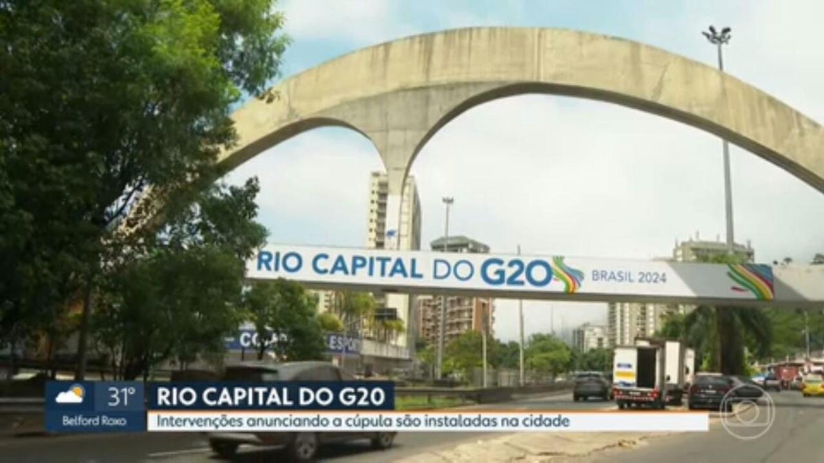 Gatinho aventureiro' viaja quase 300 km até o DF escondido em motor de  carro, Distrito Federal