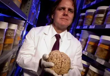 Os segredos sobre o nosso cérebro revelados por um dos estudos mais originais e ambiciosos já realizados